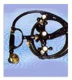 Sanitary Connection Hoses