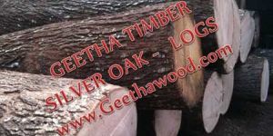 Silver Oak Log