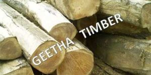 Teak Logs