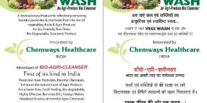 VEGI WASH Chemical FOR VEGETABLES WASH