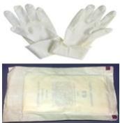 Surgical Gloves