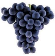 Fresh Grapes