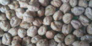 Chickpeas