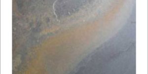 Vijay Gold Slate Veneer