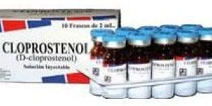 Cloprostenol Injection