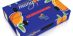 Alphonso Mango Box
