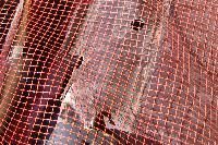 Industrial Nets