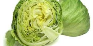 Iceberg Lettuce