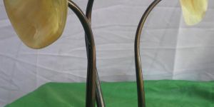 Horn Craft Lotus Bud