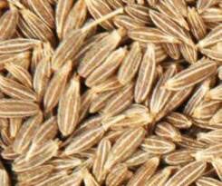 Cumin Seeds