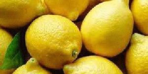Fresh Lemon