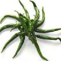 Green Chilli