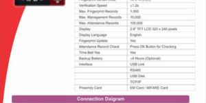 Color Display Time Attendance Machine