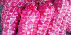 Fresh Indian Nashik Red Onion