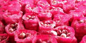 Indian Red Onion