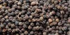 Raw Black Pepper Seeds