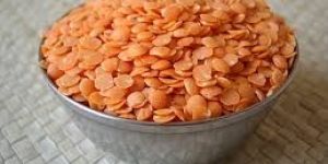 Red Lentil