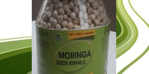 Moringa Seed Kernel