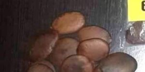 Caba Natural Seed