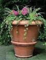 Flower Pot