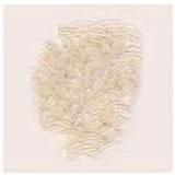 Pusa 1121 White Rice