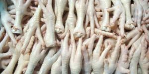 Frozen Chicken Feets