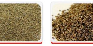 Celery Seeds