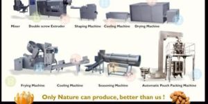 Extruded Fried Snacks Pallet Production Line