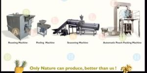 Roasted Peanut Production Line