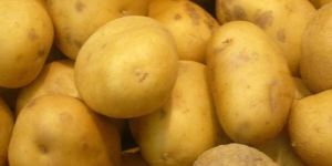 Potato