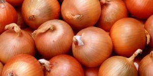 Red Onion
