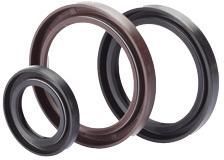 Rotary Shaft Seals