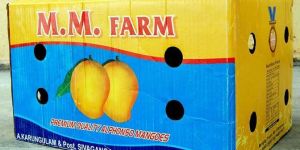 Slotted Carton with Surface Holes