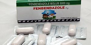 FENBENDAZOLE BOLUS