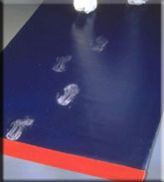 Dycem Contamination Control Sticky Mat