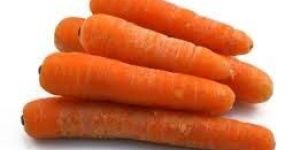Fresh Carrot