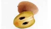 Sapodilla