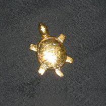 Brass Turtle Statue