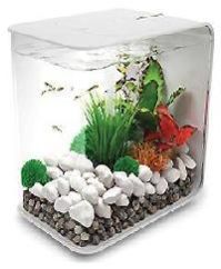 Fish Tanks