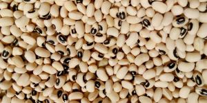 Black Eyed Beans
