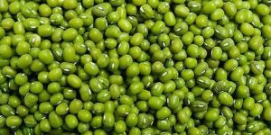 Green Mung