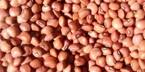 Red Cow Peas