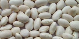 White Kidney Beans