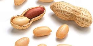 Groundnuts