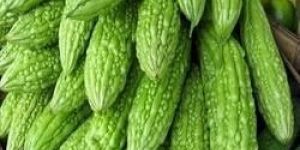 Fresh Bitter Gourd