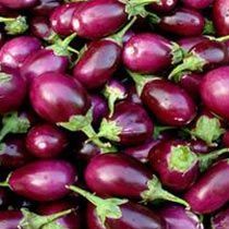Fresh Brinjal