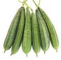 Fresh Ridge Gourd