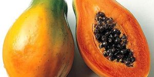 Papaya