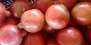 Pomegranate