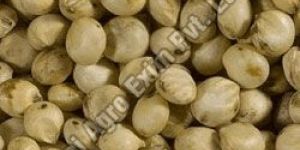 Sorghum Seeds